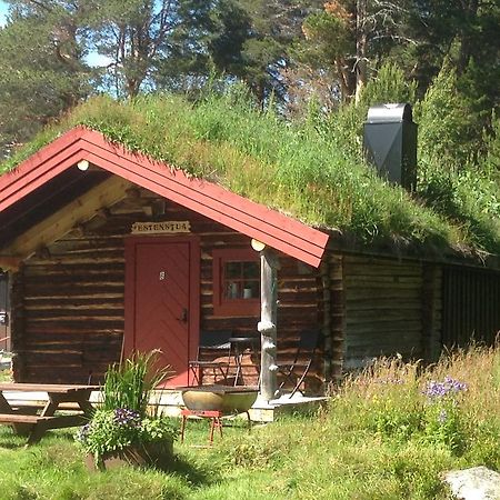 Batsto Camping Elga Buitenkant foto