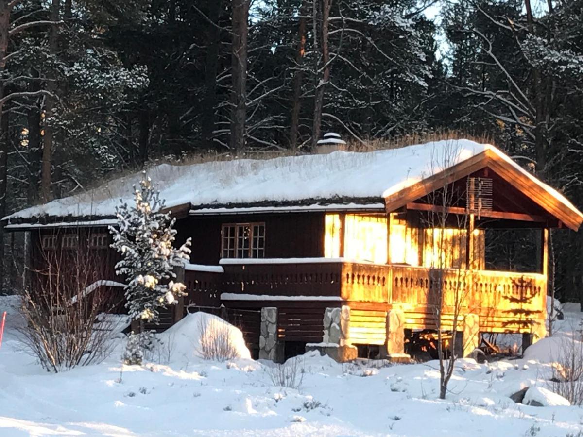 Batsto Camping Elga Buitenkant foto