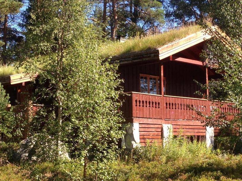 Batsto Camping Elga Buitenkant foto